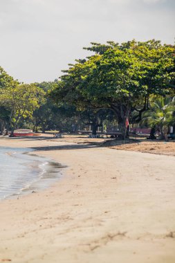 Rio de Janeiro, Brezilya 'daki Moreninha Sahili manzarası.