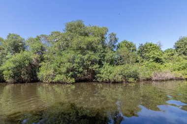 Rio de Janeiro, Brezilya 'daki Barra da Tijuca' daki Marapendi Gölü manzarası.