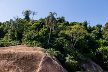Rio de Janeiro, Brezilya 'daki Paqueta Adası' nda Moreninha Taşı.