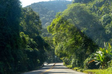 Rio de Janeiro, Brezilya 'daki Rio Santos Yolu Manzarası.