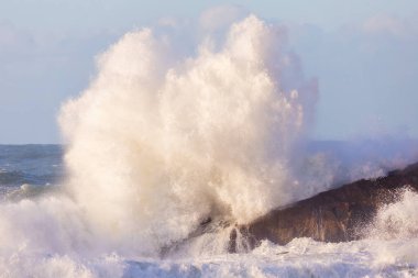 Rio de Janeiro, Brezilya 'da Leblon sahilinde akşamdan kalmayım..