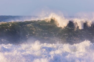 Rio de Janeiro, Brezilya 'da Leblon sahilinde akşamdan kalmayım..