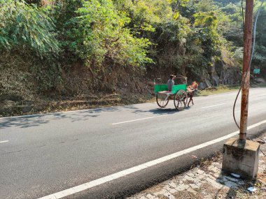 30.12.2021, Massanjore, Batı Bengal, Hindistan. Massanjore 'da bir çocuk tarafından yüklenmiş küçük tonga arabası.