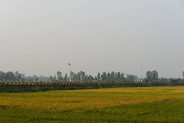 13.11.2022, Radhikapur, West Bengal, India.International Border fence between India and Bangladesh country situated in Radhikapur India
