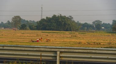 19.12.2022. farmland with harvested crops piled over to be transported