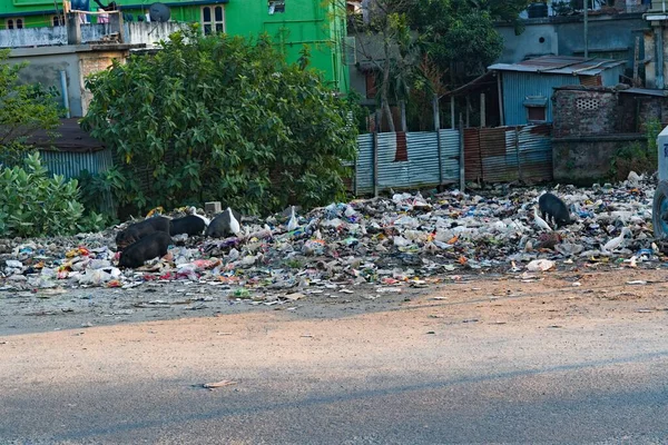 2022 West Bengal Indie Skládka Odpadu Indii — Stock fotografie