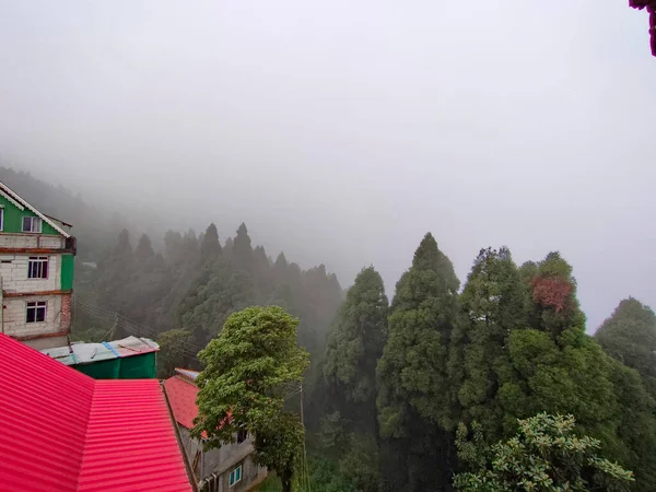 Kilátás Ködös Felhők Fenyőerdőben — Stock Fotó