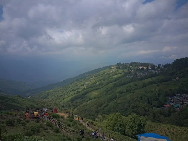 Darjeeling West Bengal India Tea Garden Valley Tourist Spot Darjeeling — 图库照片