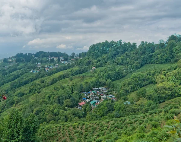 Darjeeling Bengala Ocidental Índia 2023 Vista Paisagem Jardim Chá Darjeeling — Fotografia de Stock