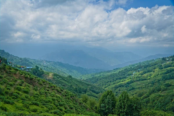 大吉岭 西孟加拉邦大吉岭 2023 阳光灿烂的大吉岭山站茶园景观 — 图库照片