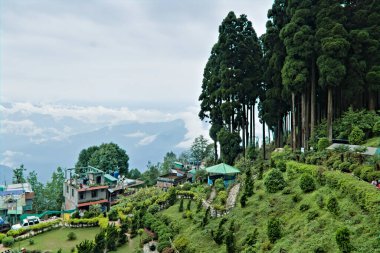 Darjeeling, Batı Bengal, Hindistan, 05.27.2023 Asya 'daki Hill Park manzarası.