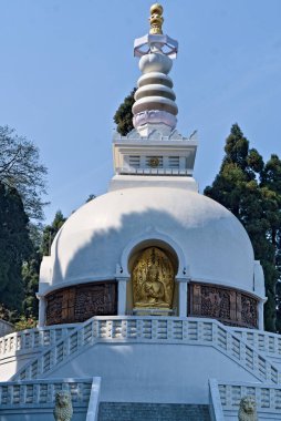 Darjeeling Batı Bengal Hindistan 19.03.2024 altın renkli heykel. Hindistan Darjeeling 'de bir manastıra oyulmuş.