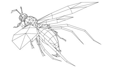 Eşek arısının vektör çizimi. Soyut doğrusal böcek