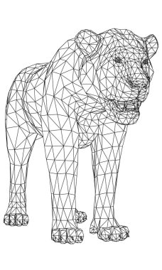 Dişi aslan çizgileri. Beyaz arkaplanda soyut vektör dişi aslan