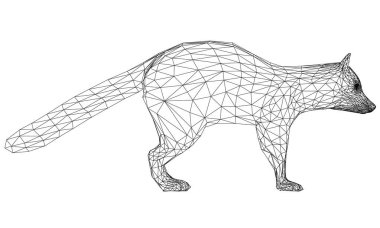 Rakun çizgileri çizimi. Beyaz arkaplanda soyut vektör rakunu
