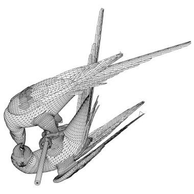 Avustralya Cockatiel papağanı çokgen çizgiler çiziyor. Beyaz arkaplanda soyut vektör papağanı