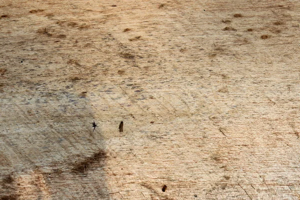 Естественный Рисунок Дерева Текстура Деревянный Фон — стоковое фото