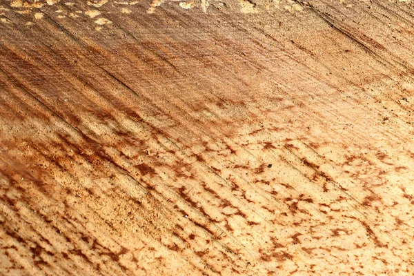 Holzstruktur Alte Farbige Helle Holzstruktur Hölzerner Hintergrund Panoramisches Banner — Stockfoto