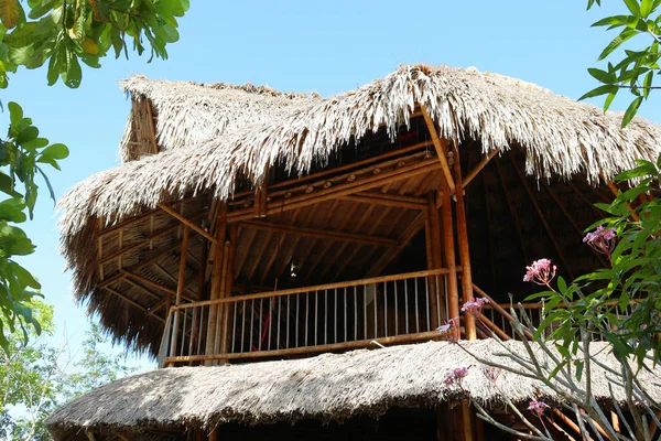 Bamboo House Natural Wood Eco House Texture Art Tree Tropics — Stock Photo, Image