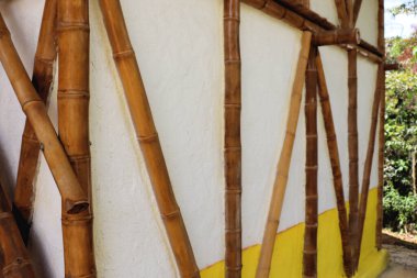 Bambu ev, doğal ahşap ev, doku, tropiklerdeki sanat ağacı.