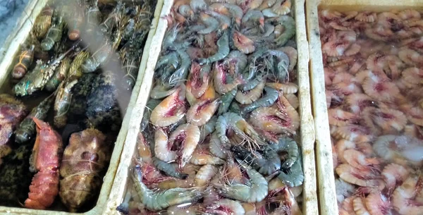 バリの魚市場でのエビと魚 魚介類 — ストック写真