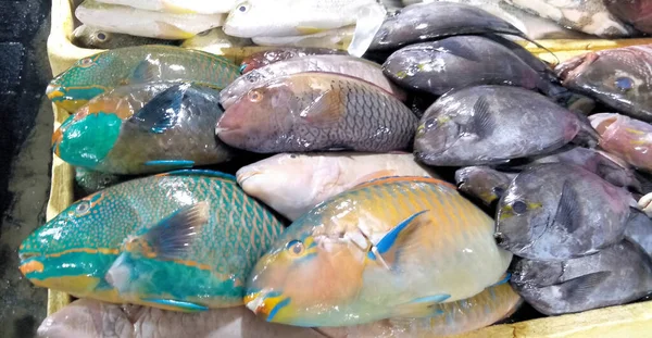 Räkor Och Fisk Fiskmarknaden Bali Skaldjur — Stockfoto