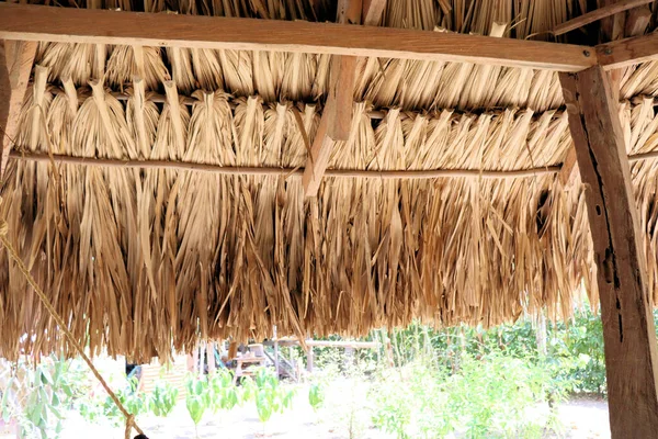 Casa Bambu Madeira Natural Eco Casa Textura Árvore Arte Nos — Fotografia de Stock