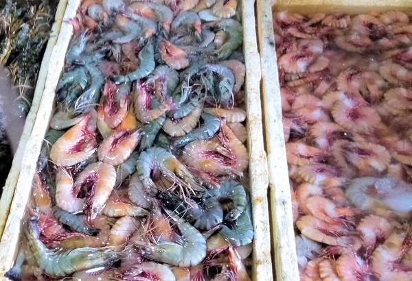 Shrimps Fish Fish Market Bali Seafood — Stock Photo, Image
