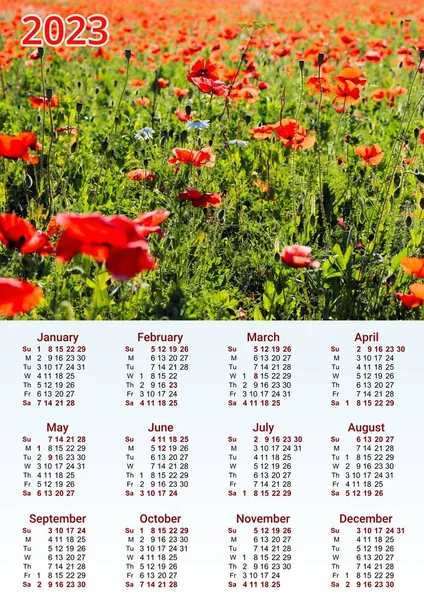 Календарь 2023 Год Цветным Изображением Иллюстрацией — стоковое фото