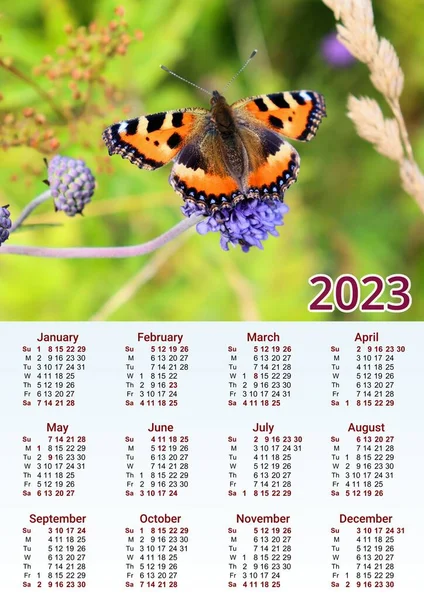 2023 Шаблон Календаря Pdf Календарь Добавить Фотографии — стоковое фото