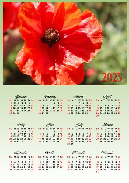 Kalendarz 2023 Kolorowym Obrazem Ilustracją — Zdjęcie stockowe