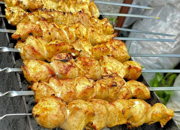 Kebab Porc Sur Brochettes Sur Gril — Photo