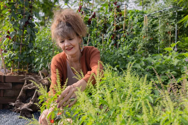 stock image mature female gardener with vegetables in the garden