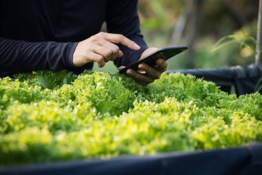 Tarımda modern teknolojileri kullanarak akıllı tarım