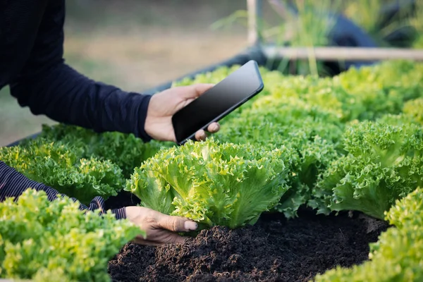 Smart farming using modern technologies in agriculture