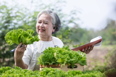 smiling woman with notebook and fresh green vegetables and gardening equipment on the garden bench
