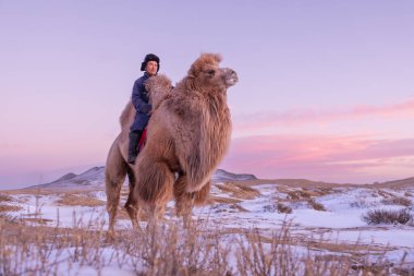 Elsen Tasarhai, Hugnu Haan Uul, Moğolistan 11 Ocak 2023: Göçebe bir kabile Karla kaplı mini Gobi çölünde iki hörgüçlü deveye biniyor.