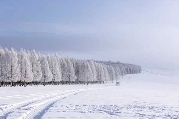 Snön Täckte Träden Vinterlandskap — Stockfoto