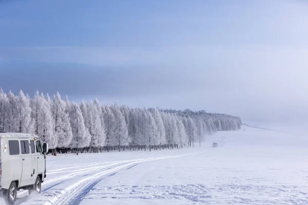 stock image winter, snow-covered car, snowy road and the white fluffy truck in the forest