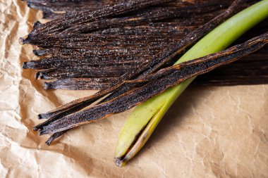 After the curing process is complete, the vanilla pods are inspected for quality. Premium vanilla pods should be plump, moist, and have a shiny appearance. They should also have a strong, sweet aroma, indicative of the presence of vanillin and other  clipart