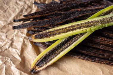 Vanilla pods are typically harvested when they are still green and not yet mature. The harvesting process involves careful handpicking to avoid damaging the delicate pods. clipart