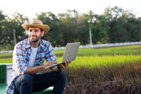 Farmers use specialized software to analyze the collected data. This analysis helps in making informed decisions about crop management, resource allocation, and overall farm strategy.