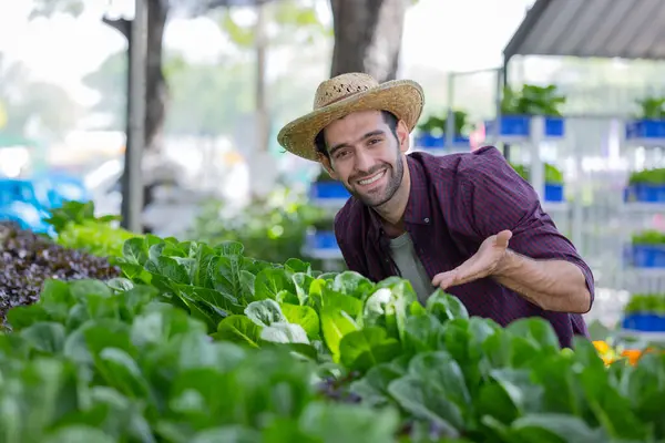 farmer with a hat of lettuce and his hand in his vegetable farm