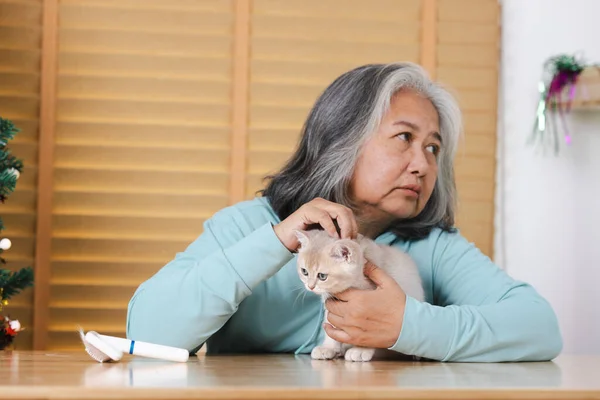 Cats provide companionship and emotional support, which is particularly important for elderly individuals who may experience feelings of loneliness or isolation.
