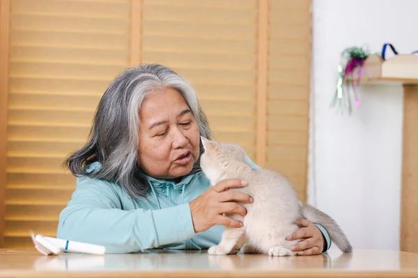 Cats provide companionship and emotional support, which is particularly important for elderly individuals who may experience feelings of loneliness or isolation.