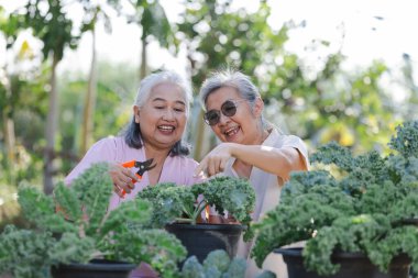 Asyalı yaşlı çift gülümsüyor ve mutlu emeklilikleriyle bahçede kameraya bakıyor.