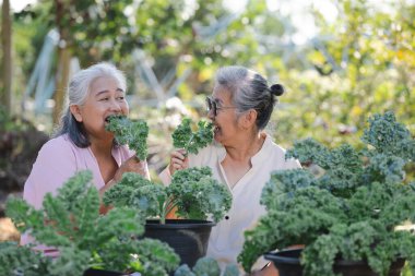 Sebze bahçesindeki yaşlı çiftin portresi.