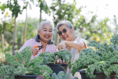Bahçedeki iki olgun Asyalı yaşlı kadının portresi.