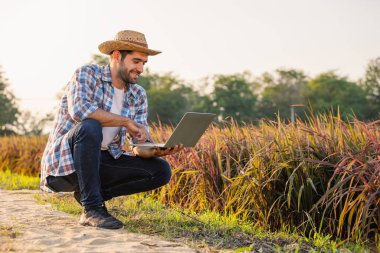 Toprak yolda dizüstü bilgisayar kullanan bir adam.