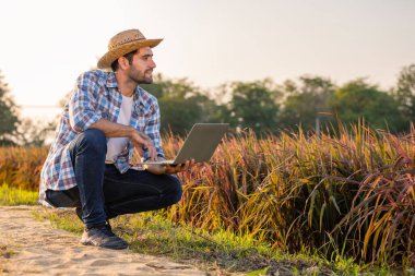 Çiftçiler veri analizi, uzaktan algılama ve bilinçli kararlar almak için izleme araçları kullanır. Buna hava durumunun analizi, mahsul sağlığının izlenmesi ve verimin tahmin edilmesi, daha iyi karar alınmasına katkıda bulunulması da dahildir..